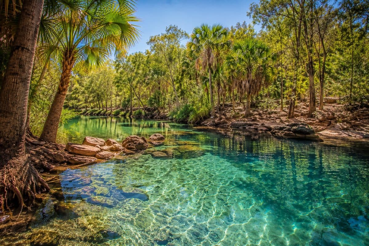 Berry Springs